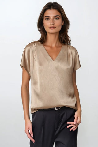 Crinkle Satin Pleated Sleeve Top