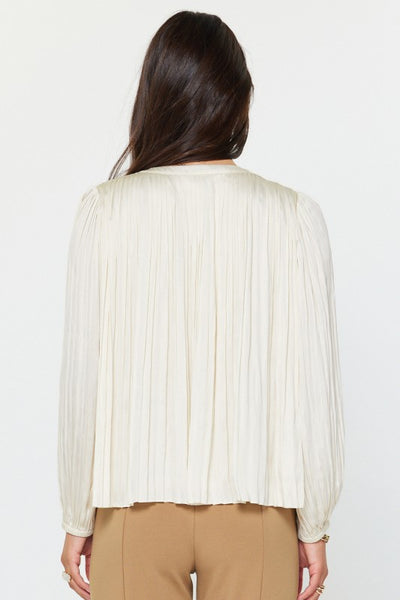 Crinkle Pleat Blouse