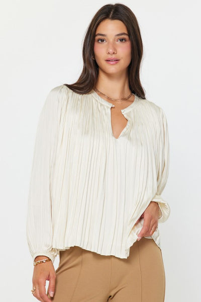 Crinkle Pleat Blouse