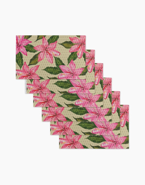 Eco-Friendly Not Paper Towels 6 Pack