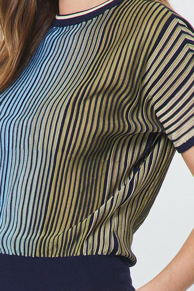 Ombre Stripe Ribbed Knit Top