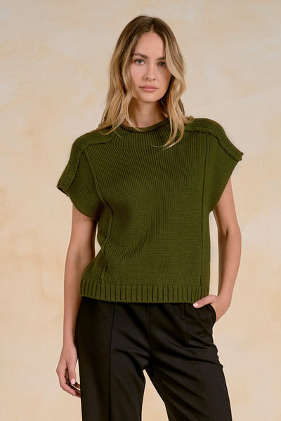 Seamed Cap Sleeve Knit Top - 2 Colors