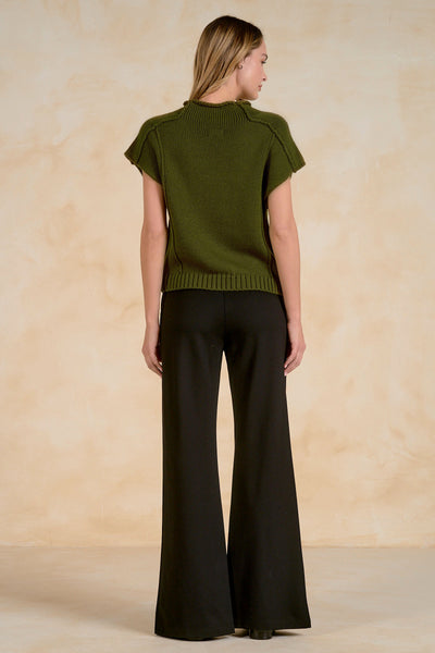 Seamed Cap Sleeve Knit Top - 2 Colors