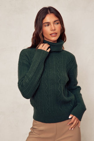 Cable Knit Turtleneck - 2 Colors